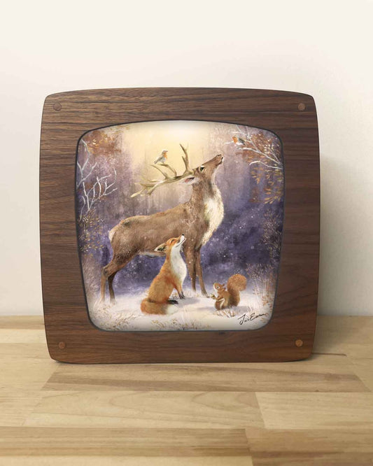 Plaat | Winter Wonders