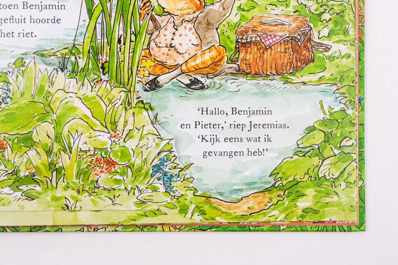 Pieter Konijn | De leukste verjaardag ooit!