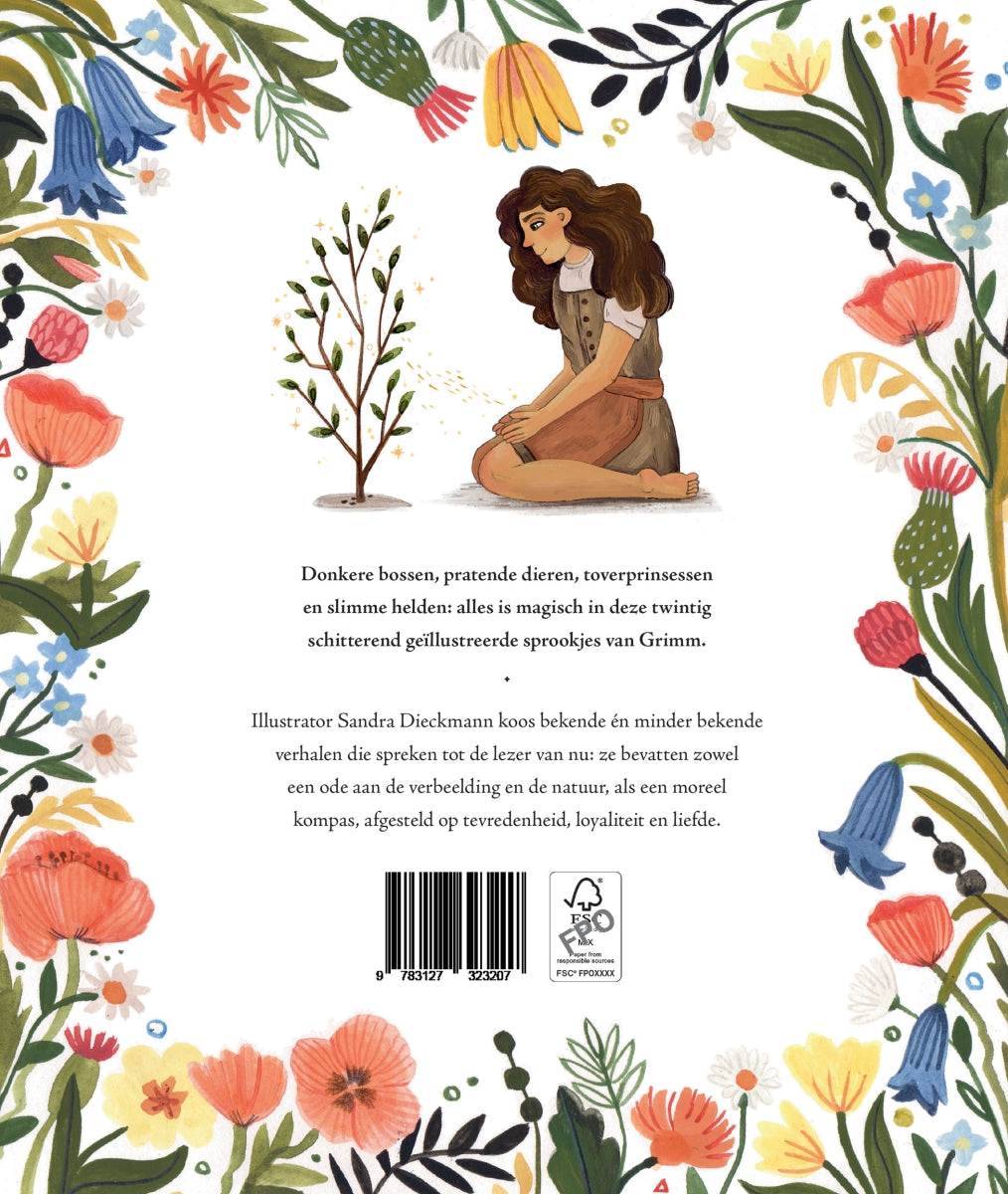 Sprookjes van Grimm (20 verhalen van toen en nu)