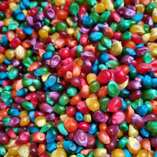 Speelmaïs Regenboog