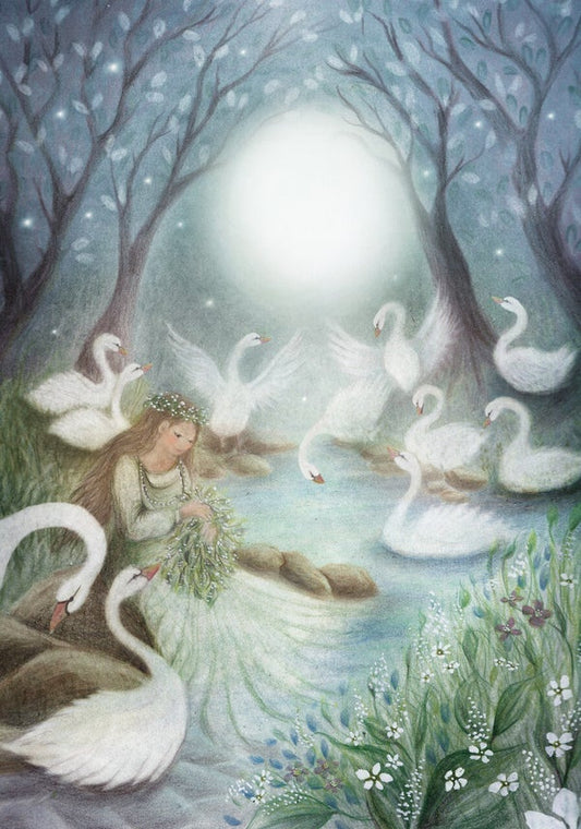 Ansichtkaart | The Wild Swans