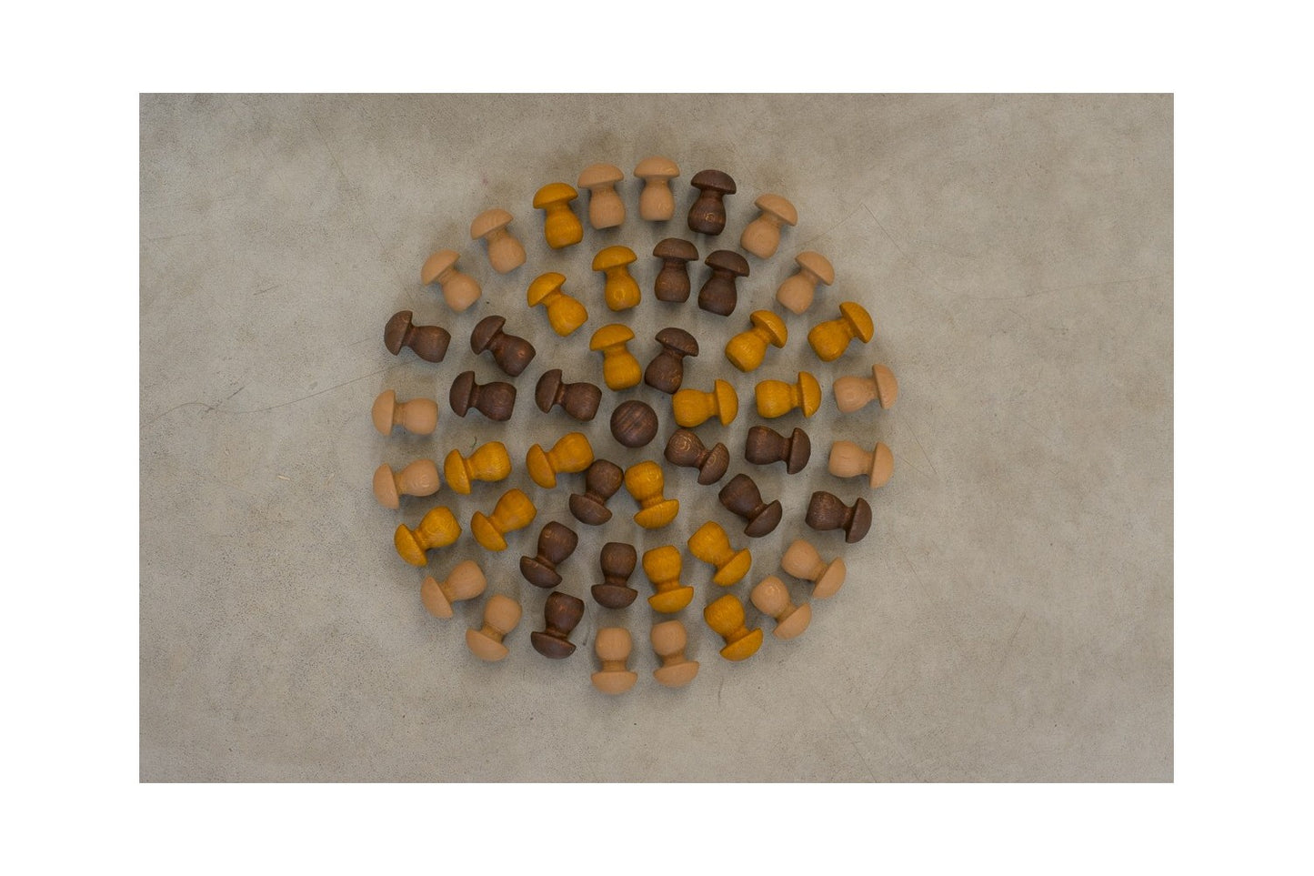 Mandala | Mushroom