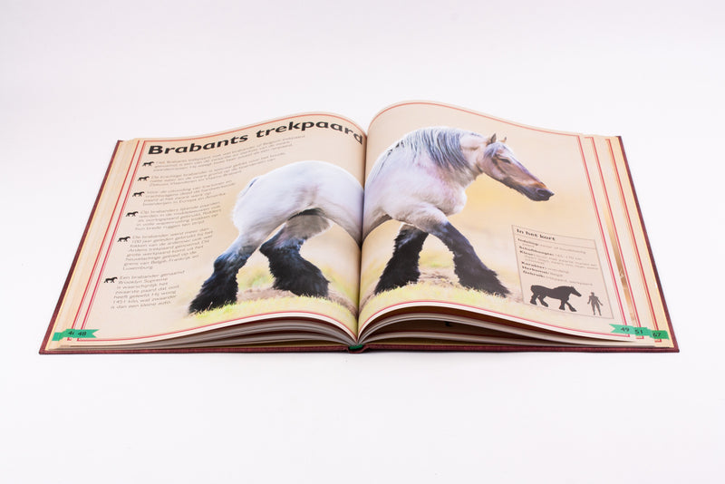 Het allermooiste boek over paarden