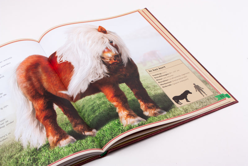 Het allermooiste boek over paarden