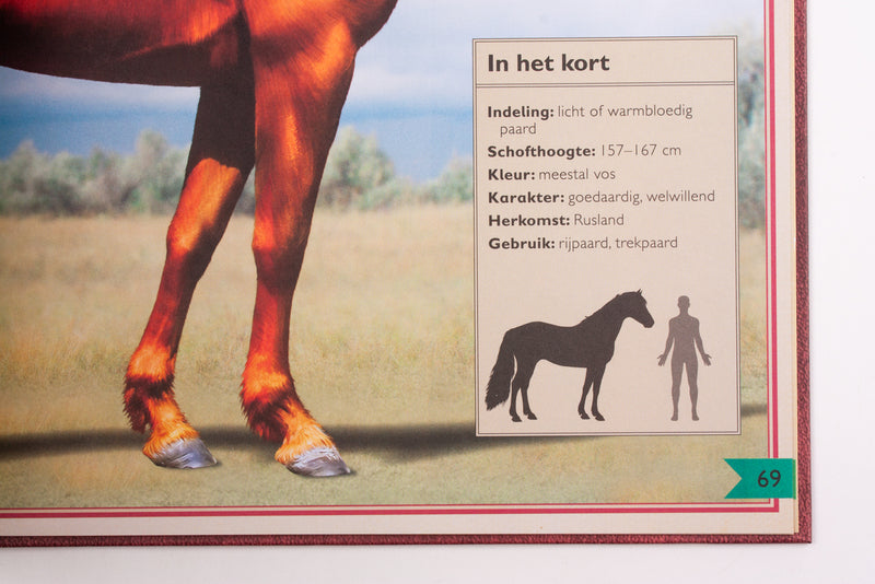 Het allermooiste boek over paarden