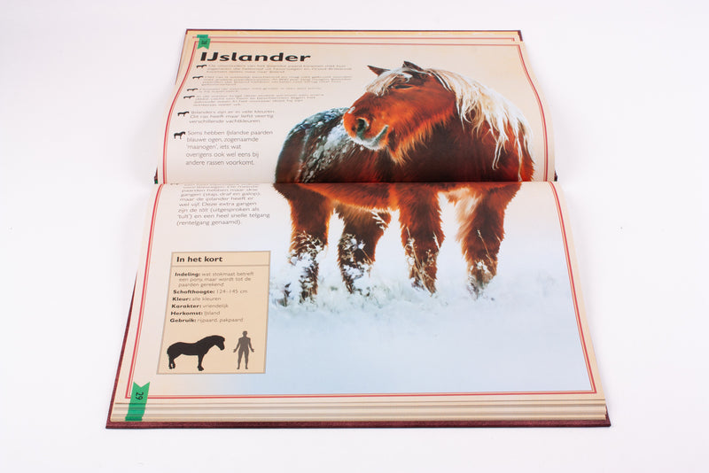 Het allermooiste boek over paarden