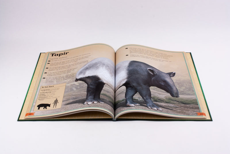 Het allermooiste boek over wilde dieren