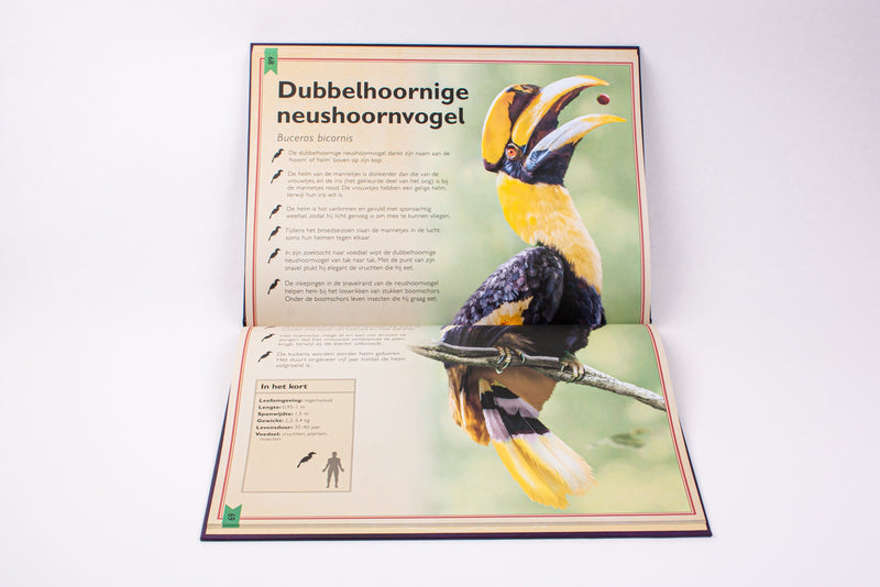 Het allermooiste boek over vogels