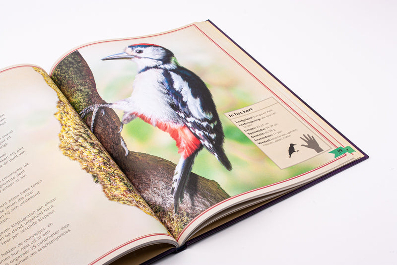 Het allermooiste boek over vogels