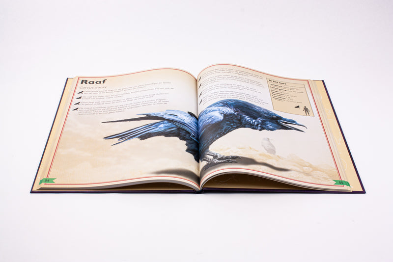 Het allermooiste boek over vogels