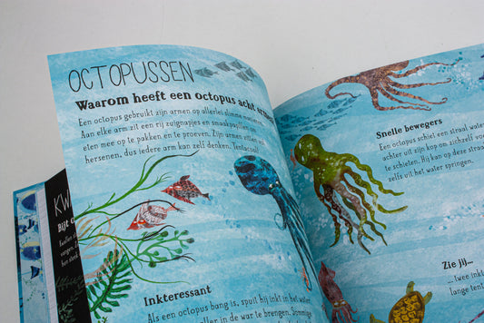 Het zinderende zee boek