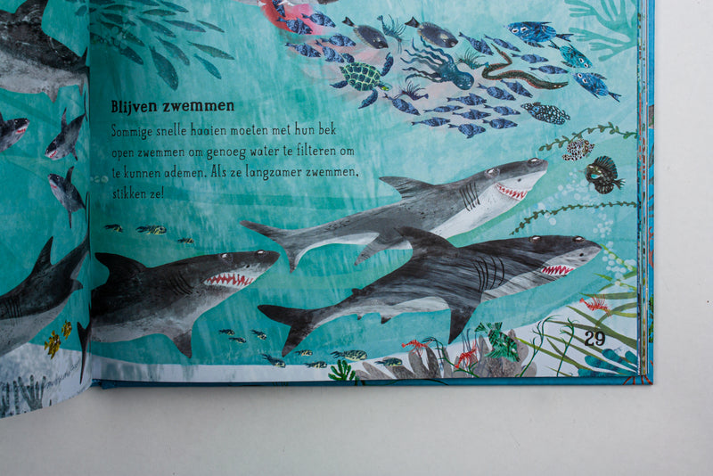 Het zinderende zee boek