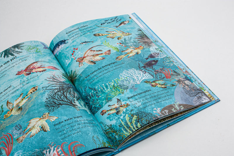 Het zinderende zee boek