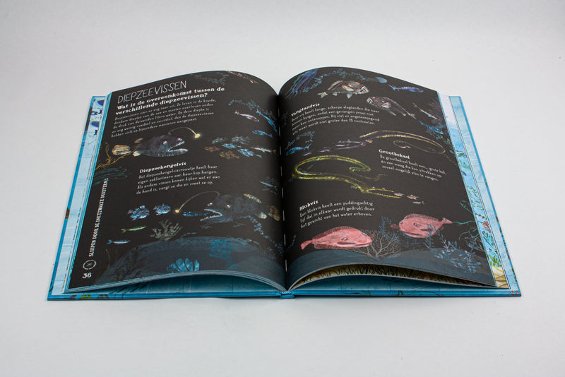 Het zinderende zee boek