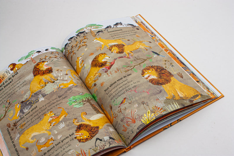 Het buitengewone beesten boek