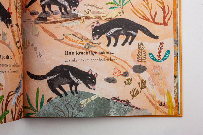 Het buitengewone beesten boek