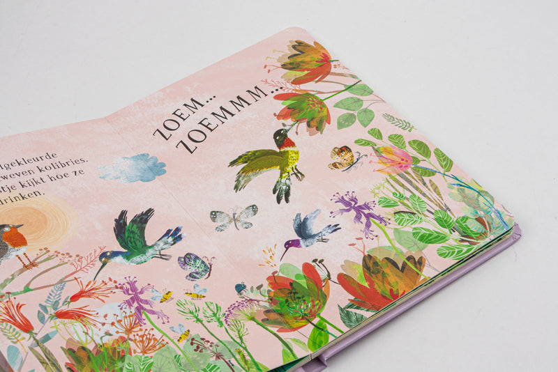 Het vogelboek van roodborstje