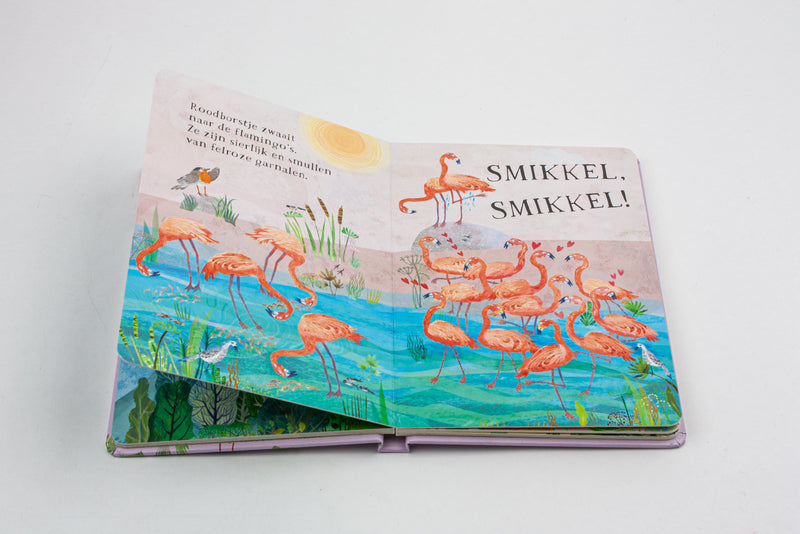 Het vogelboek van roodborstje