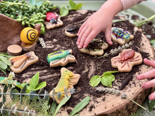 Sensory Play Stones | Bugs