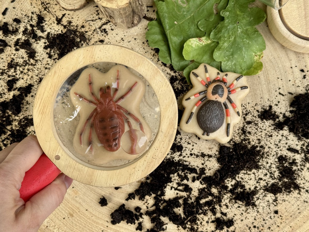Sensory Play Stones | Bugs