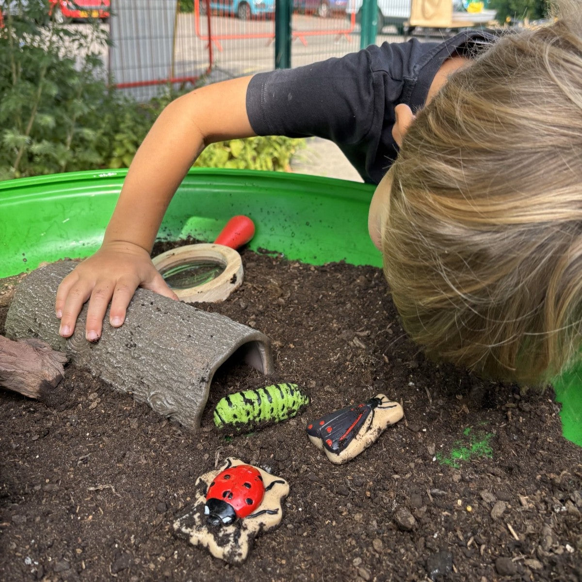 Sensory Play Stones | Bugs