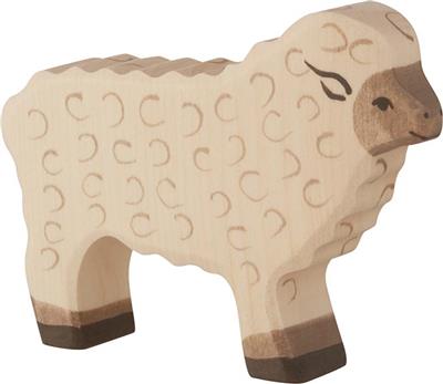 Schaap