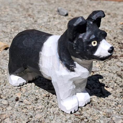 Bordercollie