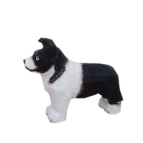 Bordercollie