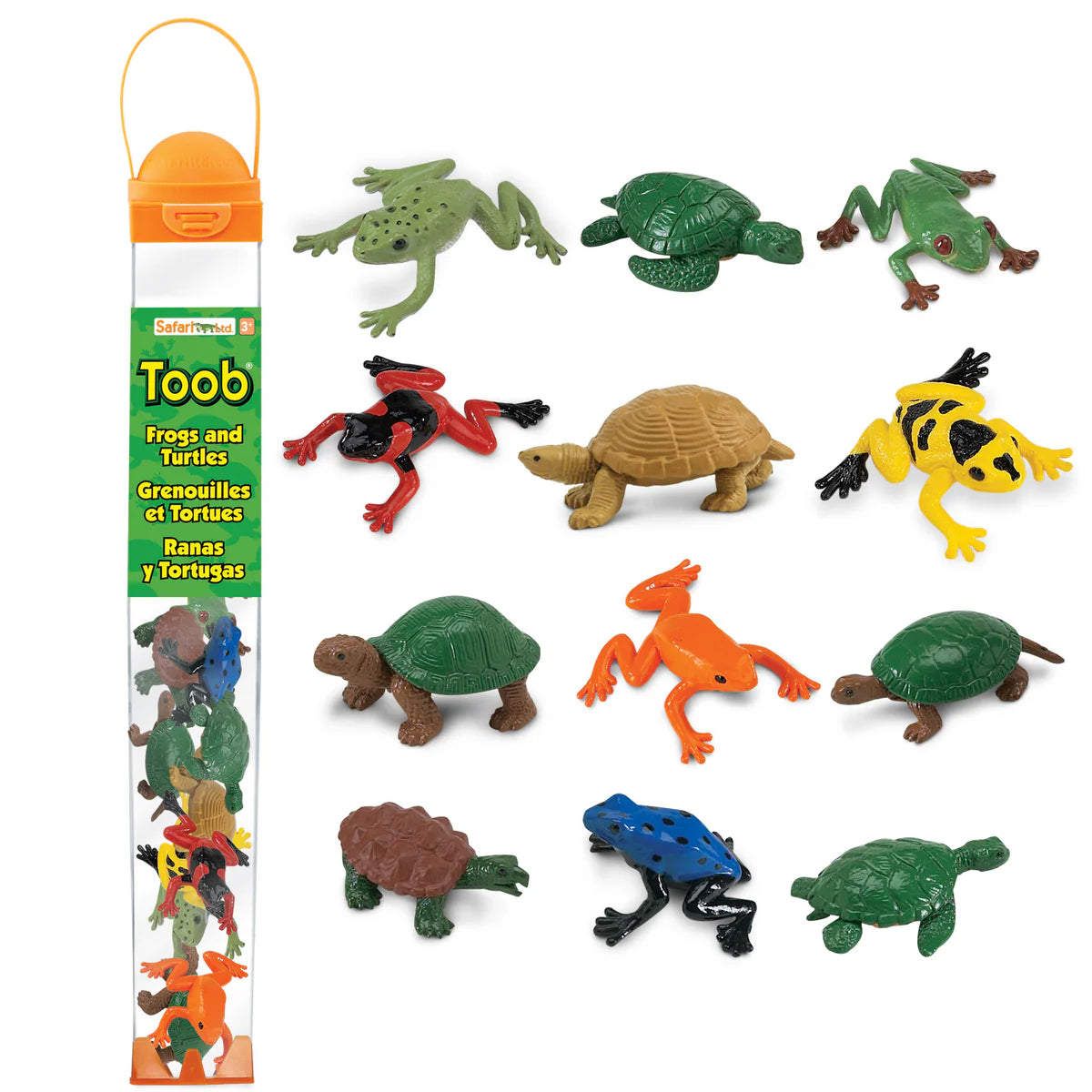 TOOB | Kikkers & Schildpadden