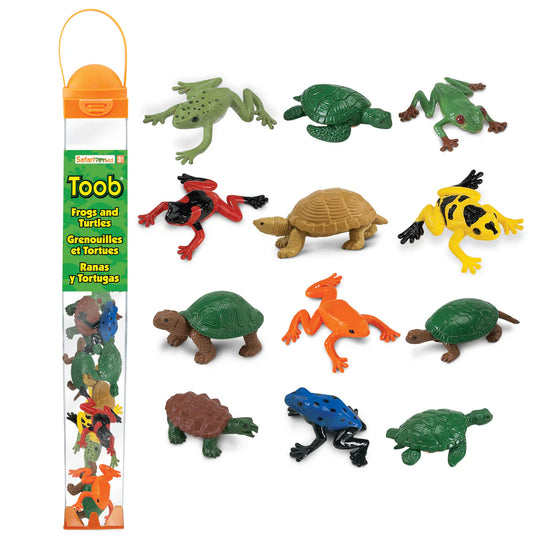 TOOB | Kikkers & Schildpadden