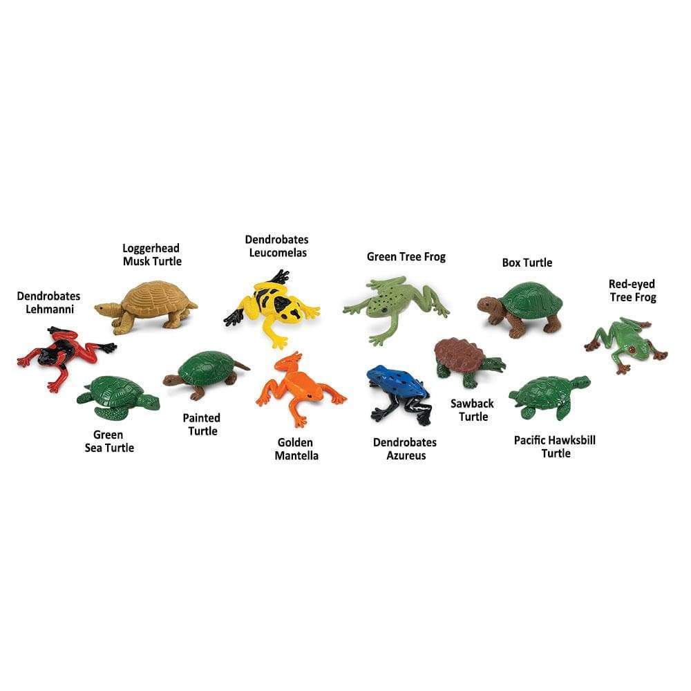 TOOB | Kikkers & Schildpadden