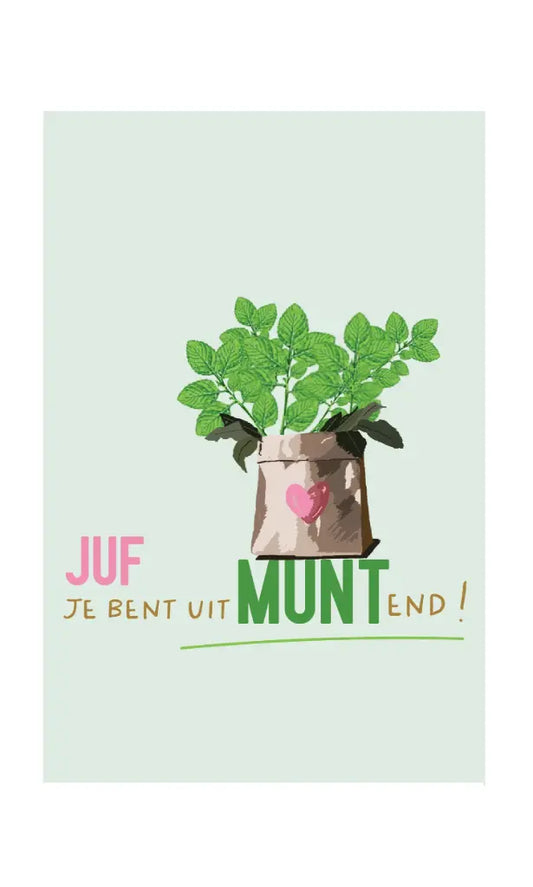 Notitieboekje | Juf jij bent uitMUNTend!