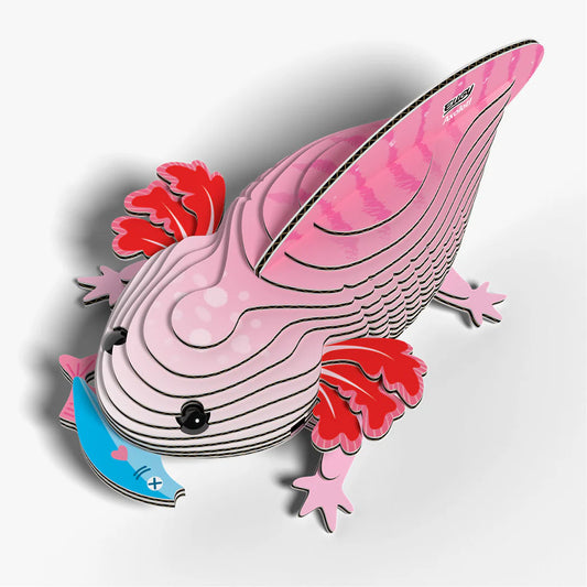 3D model | Axolotl