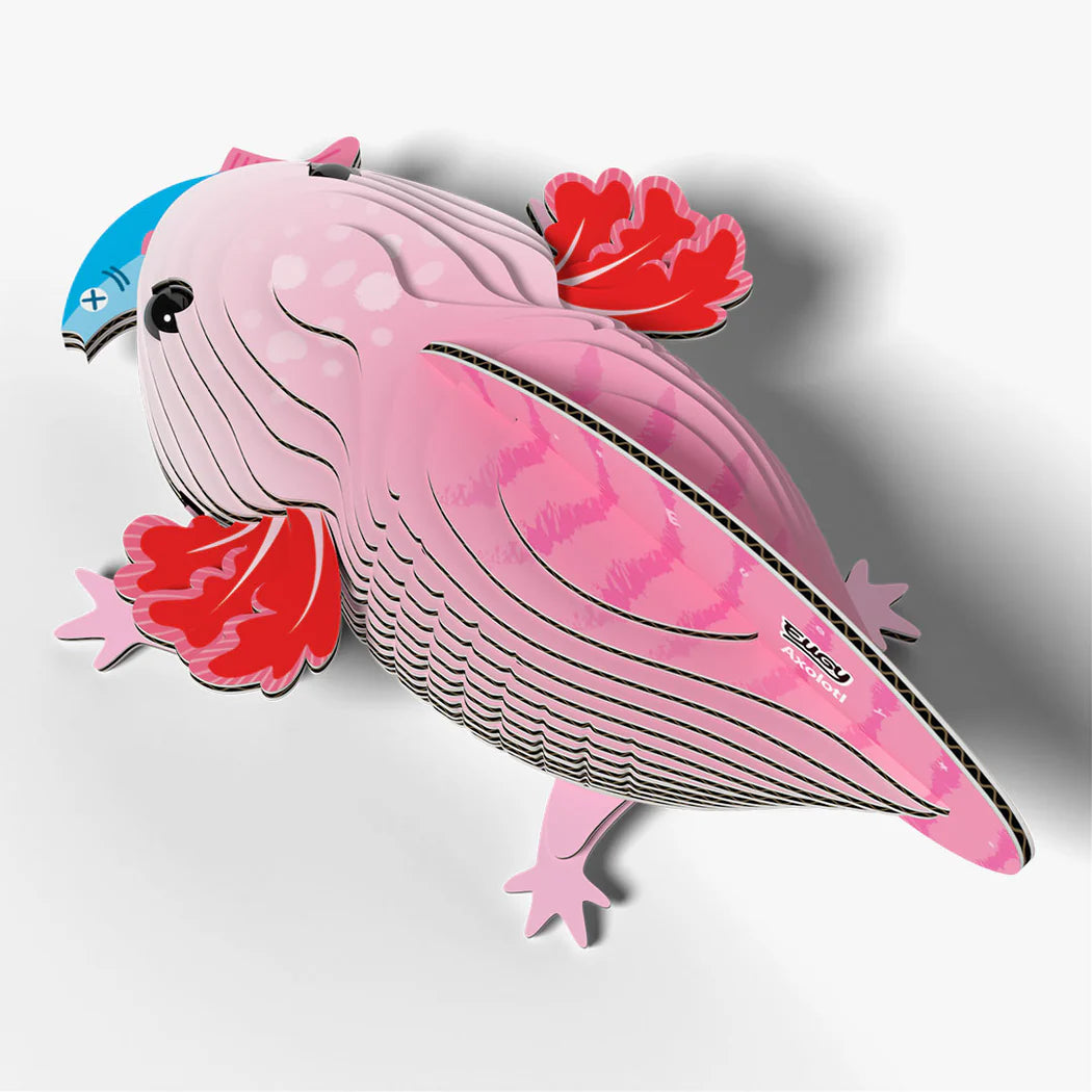 3D model | Axolotl