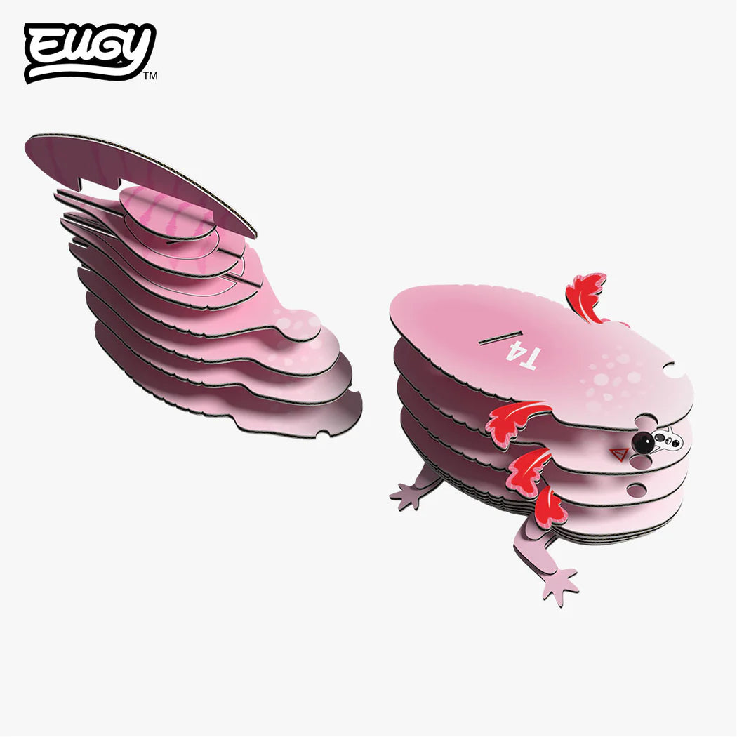 3D model | Axolotl