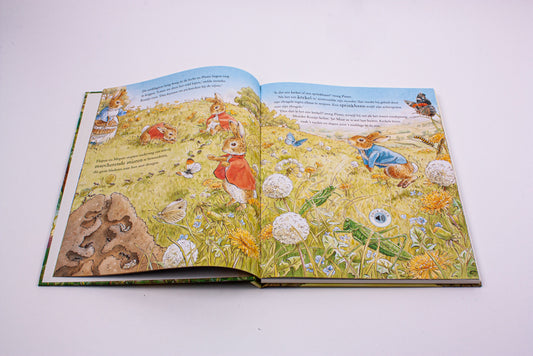 Pieter Konijn | Een dag in de natuur (geluidenboek)