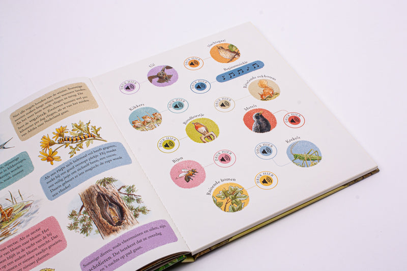 Pieter Konijn | Een dag in de natuur (geluidenboek)