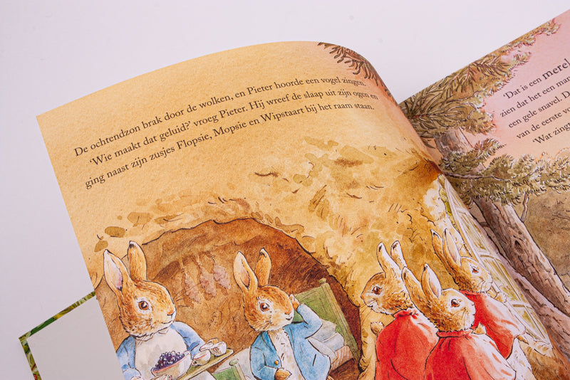 Pieter Konijn | Een dag in de natuur (geluidenboek)
