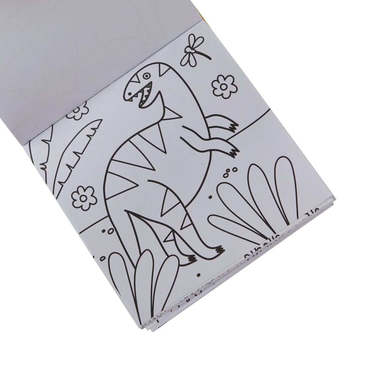 Carry Along | Dinoland (krijtjes + keurboekje)