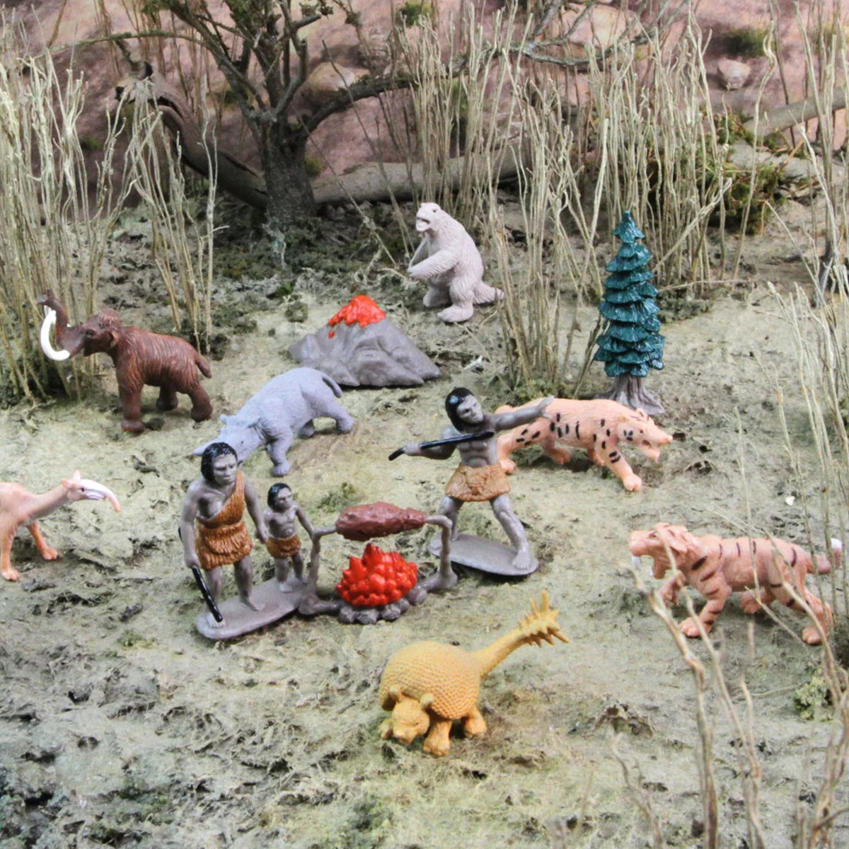 TOOB | Prehistorie
