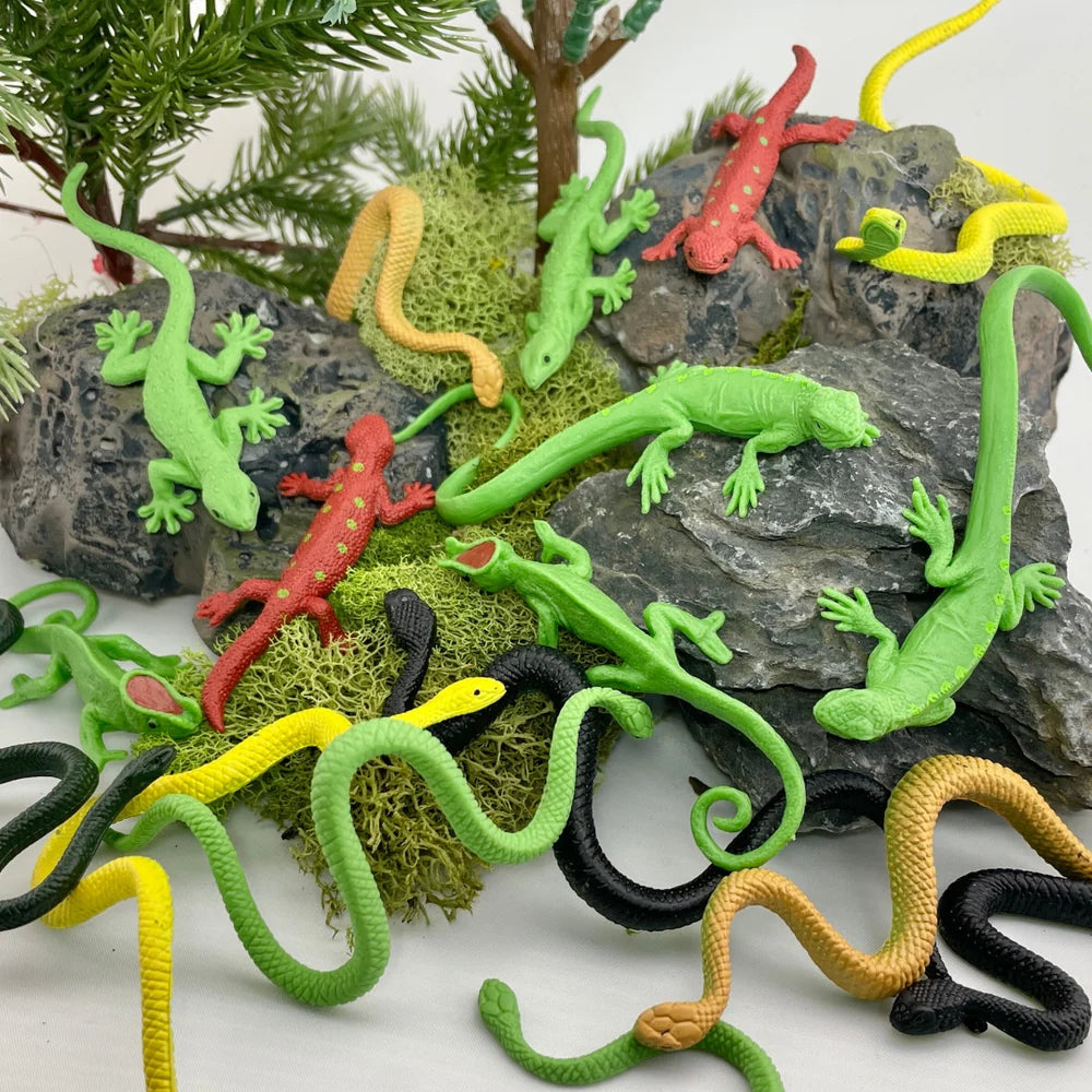 TOOB | Reptielen