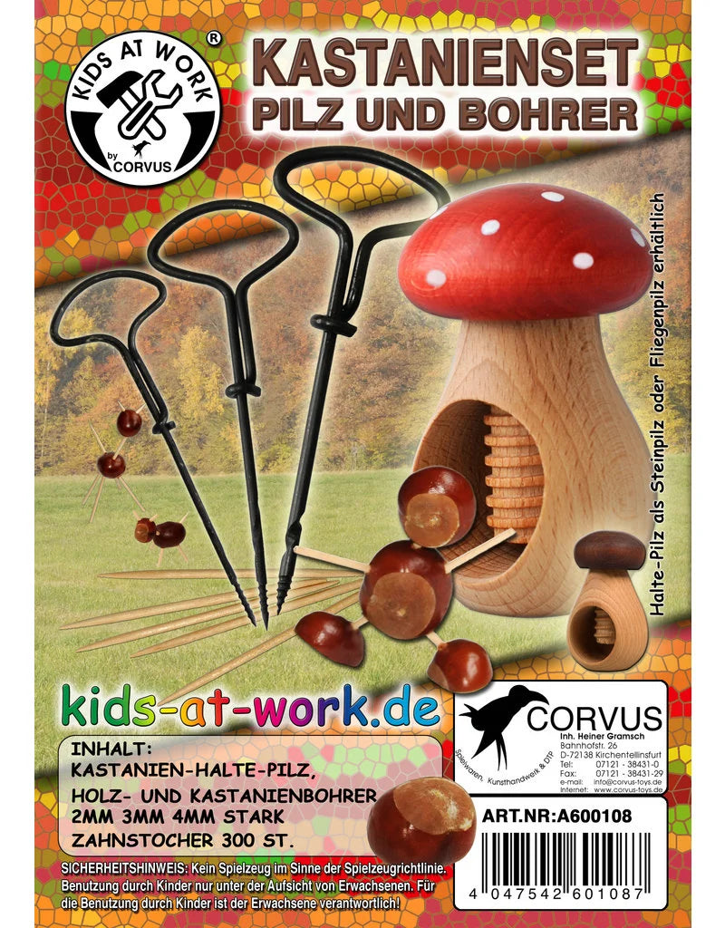 BINNENKORT! Kastanje Knutselset (8+)