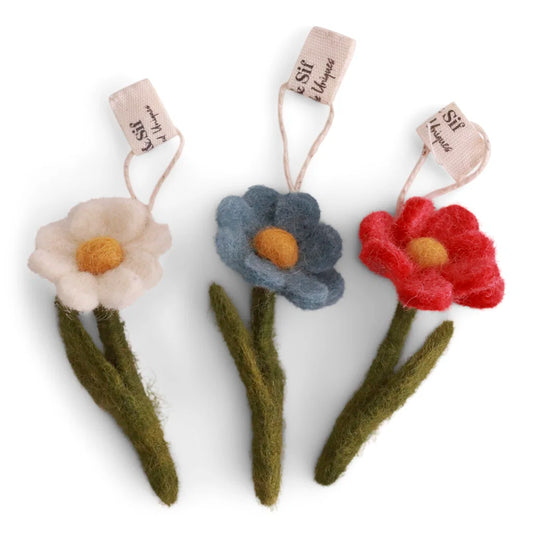 Mini Anemonen | 3 Heldere Kleuren