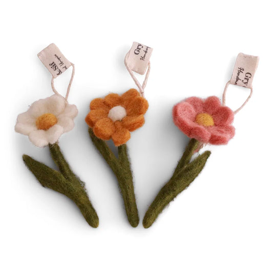 Mini Anemonen | 3 Zachte Kleuren