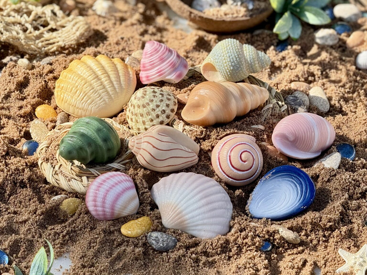 Sensory Play Stones | Seashells