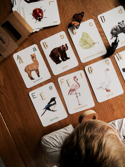 Flashkaarten | Alfabet Animalia