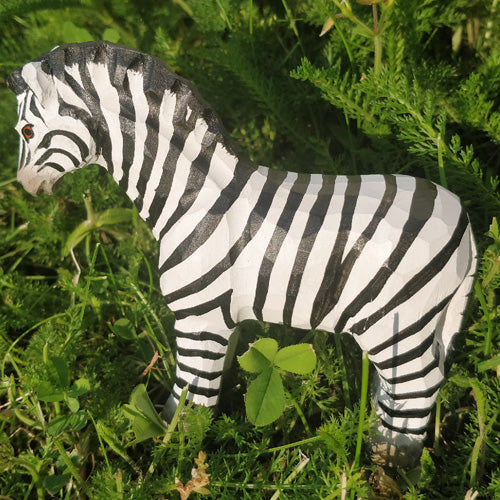Zebra