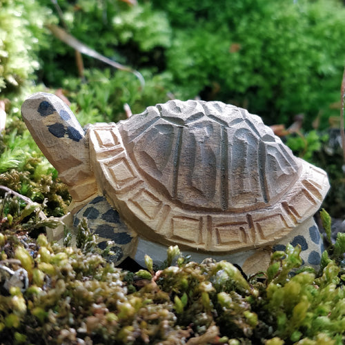 Schildpad