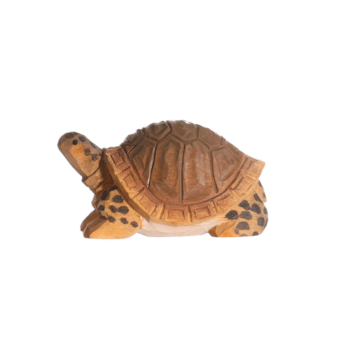 Schildpad