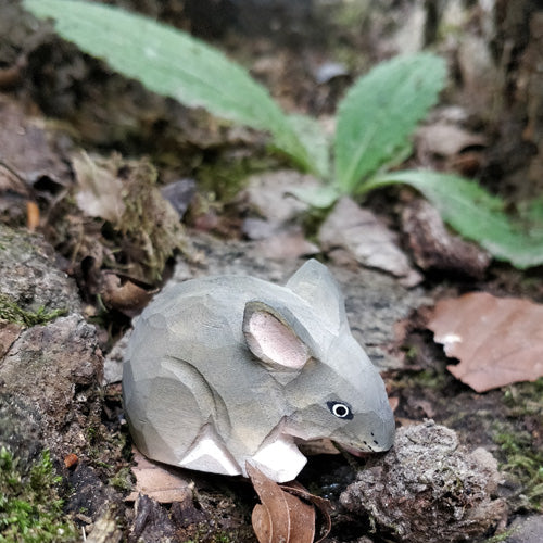 Muis